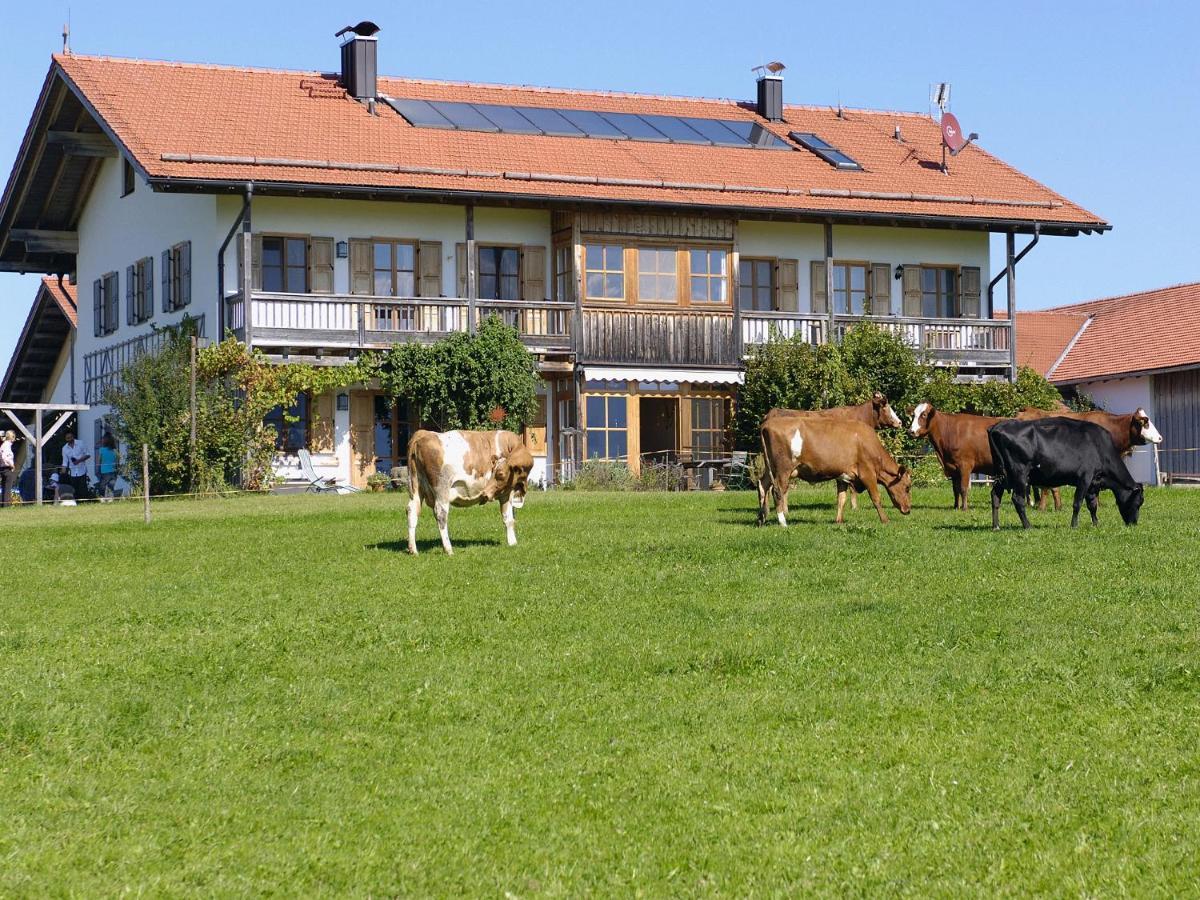 Seeleitenhof Sindelsdorf Екстер'єр фото